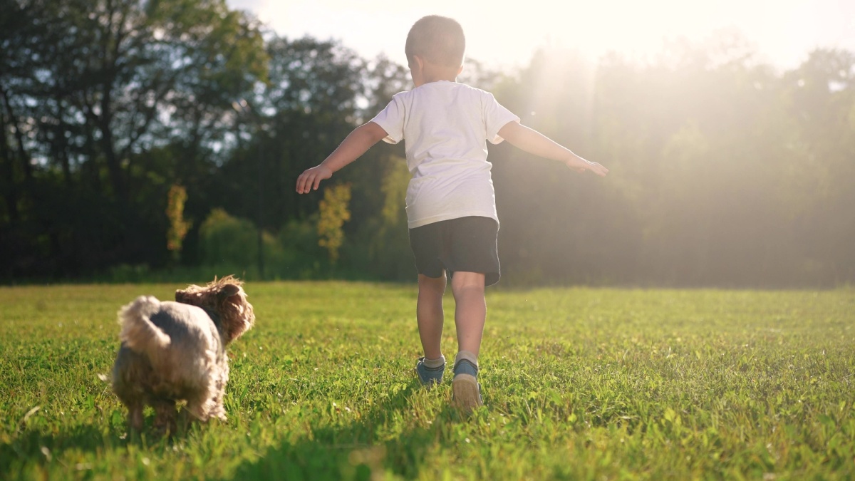 a young boy and his puppy running through a green lawn